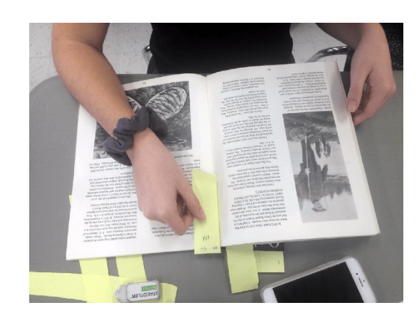 screenshot2019-01-31at12.50.55pm